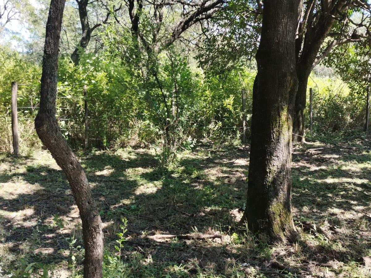 Venta Lote en Unquillo de 1377, Mt. Apto 3 PH con Luz y Agua, Hermosa Arboleda y Facil Acceso a La 5