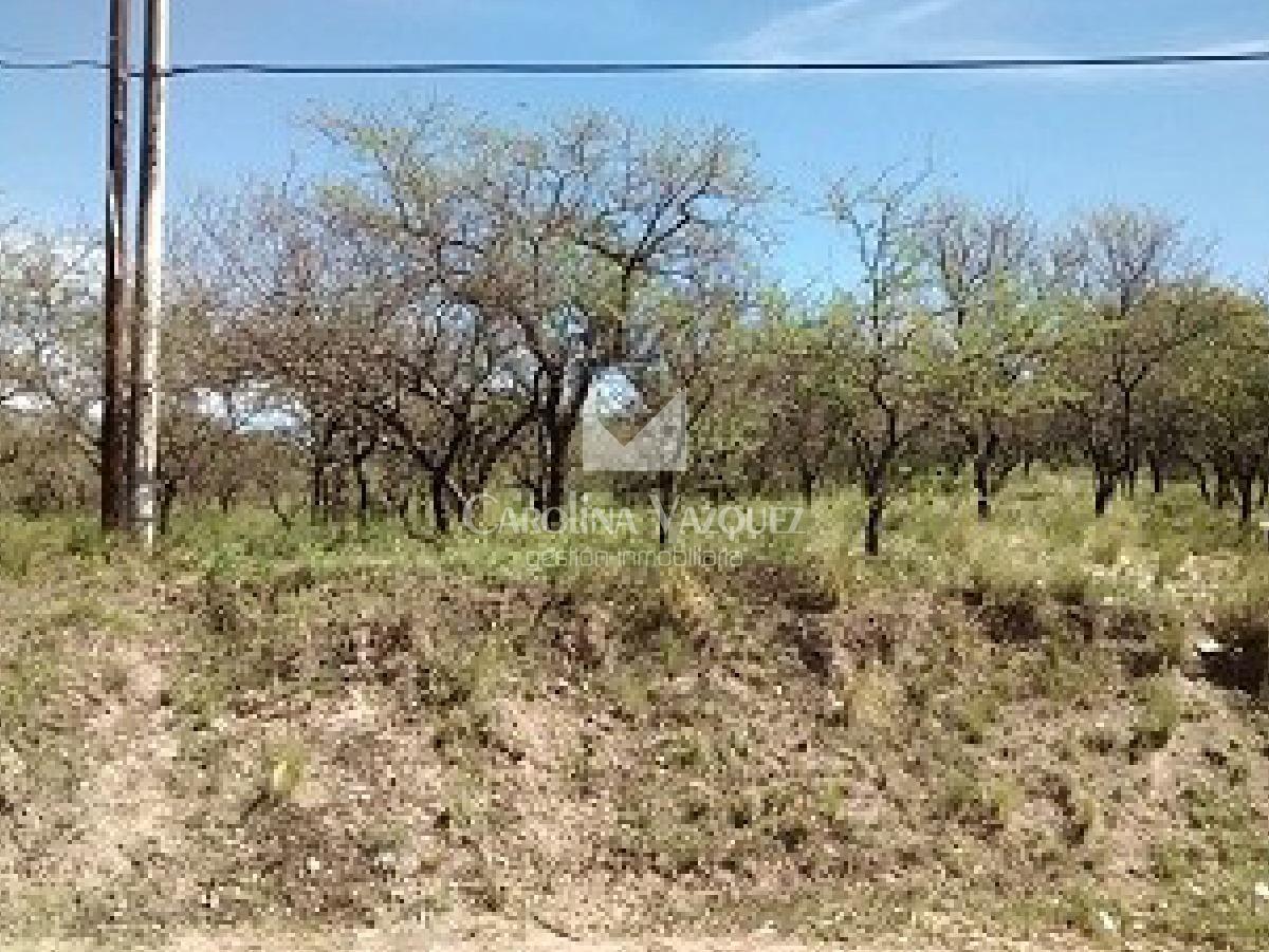 Foto de VENTA DE TERRENO - MENDIOLAZA GOLF, imagen 3