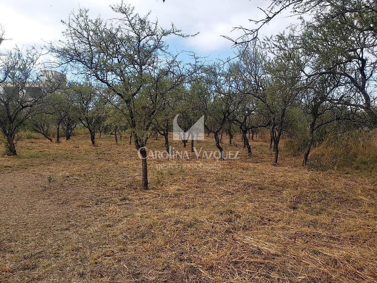 Foto de VENTA DE TERRENO - MENDIOLAZA GOLF, imagen 2