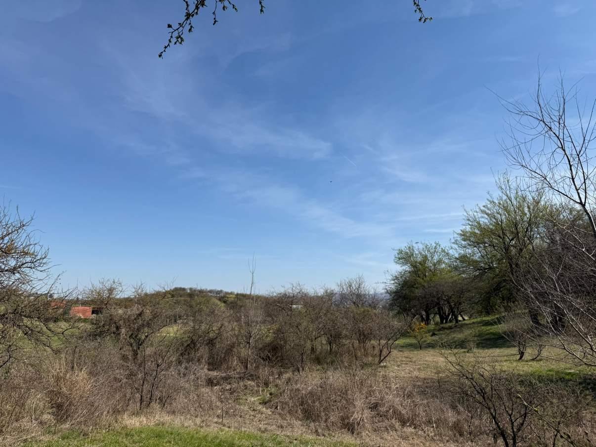 Foto de VENTA TERRENO EL TERRON MENDIOLAZA, imagen 5