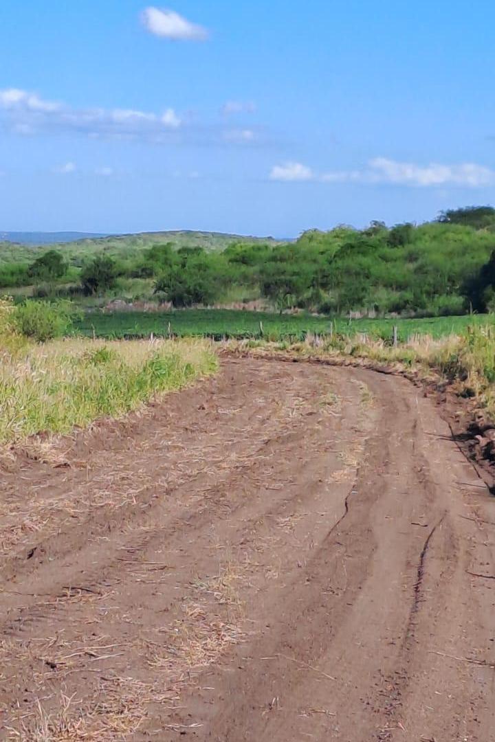 Foto de VENTA TERRENO - ASCOCHINGA, SAN JOSE DE LA SIERRA, imagen 2