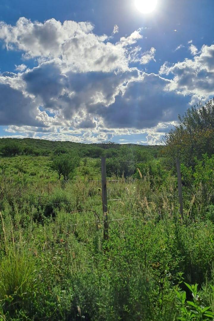Foto de VENTA TERRENO - ASCOCHINGA, SAN JOSE DE LA SIERRA, imagen 4