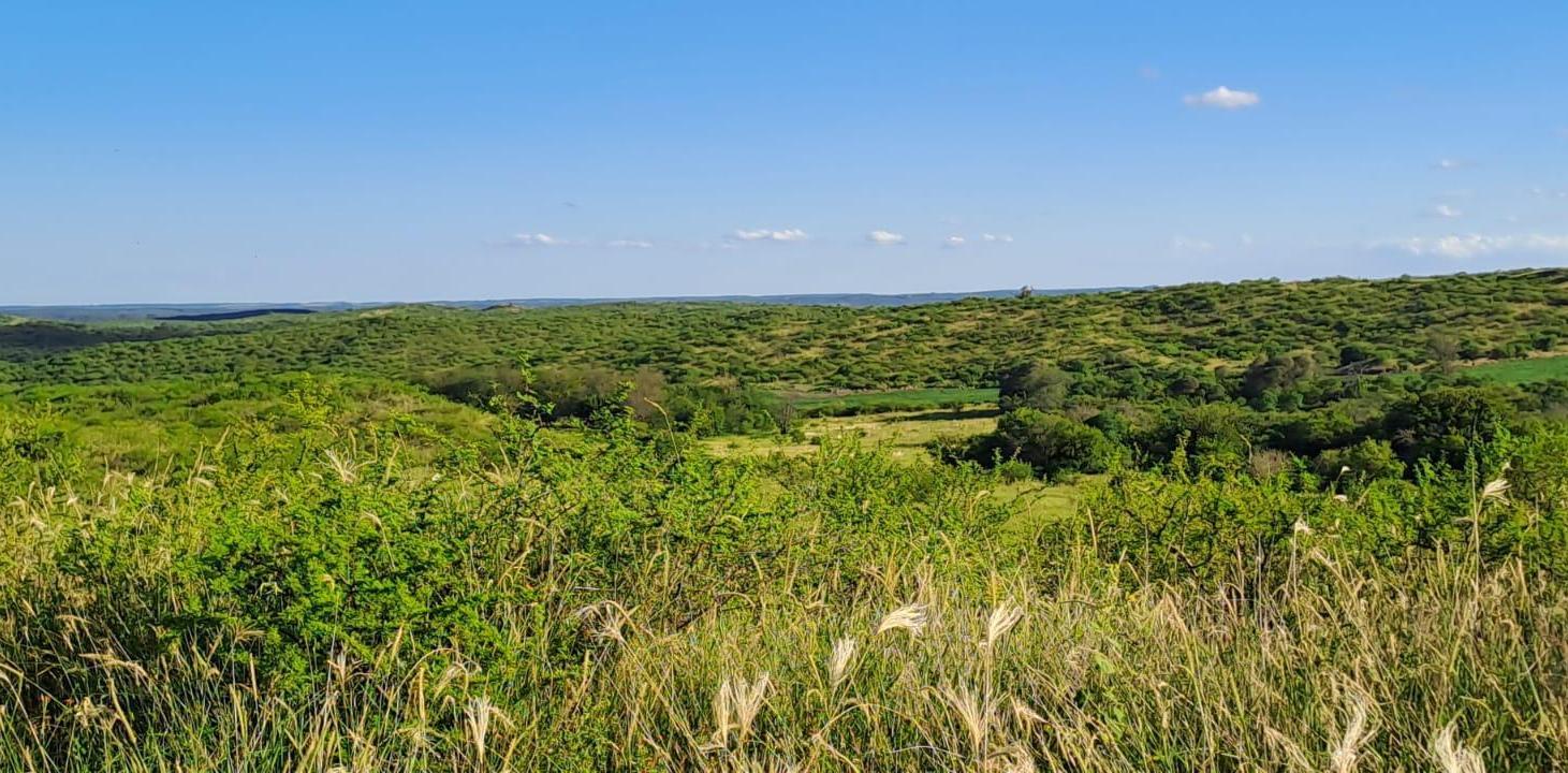 Foto de VENTA TERRENO - ASCOCHINGA, SAN JOSE DE LA SIERRA, imagen 5