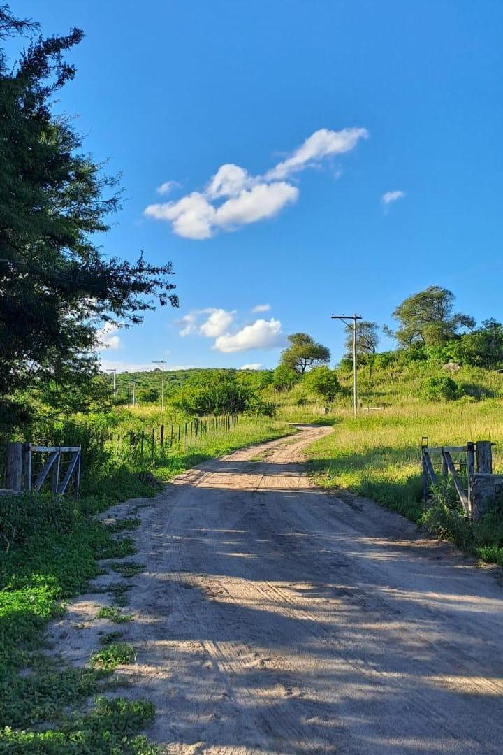 VENTA TERRENO - SAN JOSE DE LAS SIERRAS, ASCOCHINGA