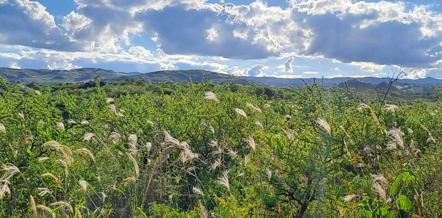 Foto de VENTA TERRENO - SAN JOSE DE LAS SIERRAS, ASCOCHINGA, imagen 1