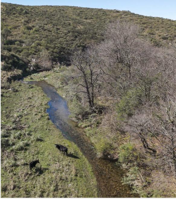 Foto de VENTA TERRENO RODEO DEL PINTO ASCOCHINGA COSTA ARROYO, imagen 1