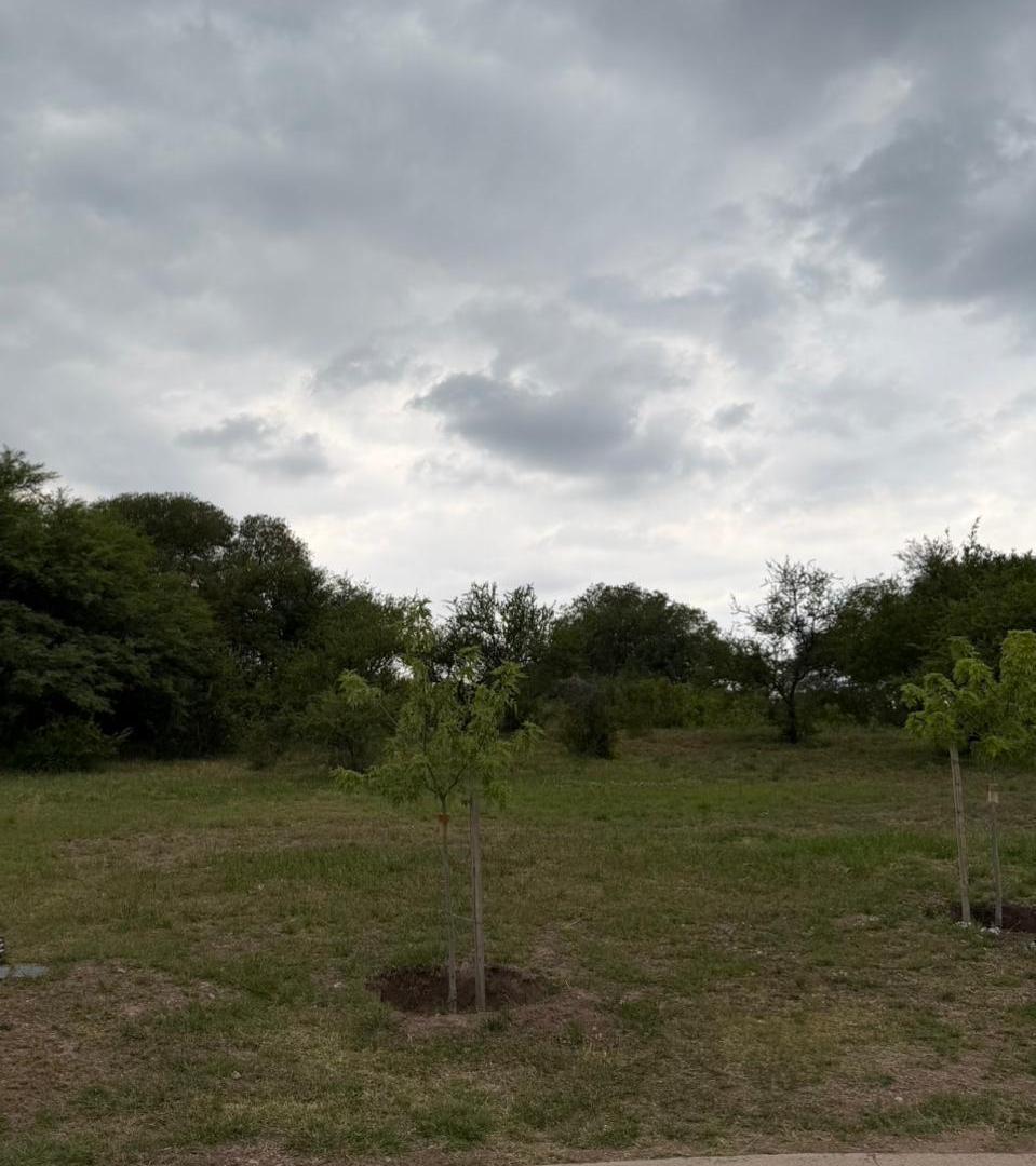 Foto de VENTA TERRENO - EL TERRON, MENDIOLAZA, imagen 4