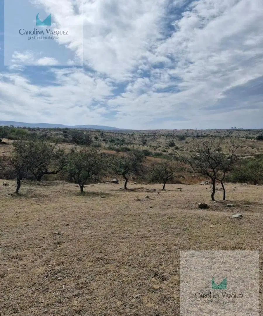 VENTA TERRENO POTRERO DE GARAY CORDOBA 8