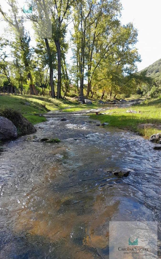 Foto de Venta Campo Totoral Villa Albertina Los Sauces, imagen 4