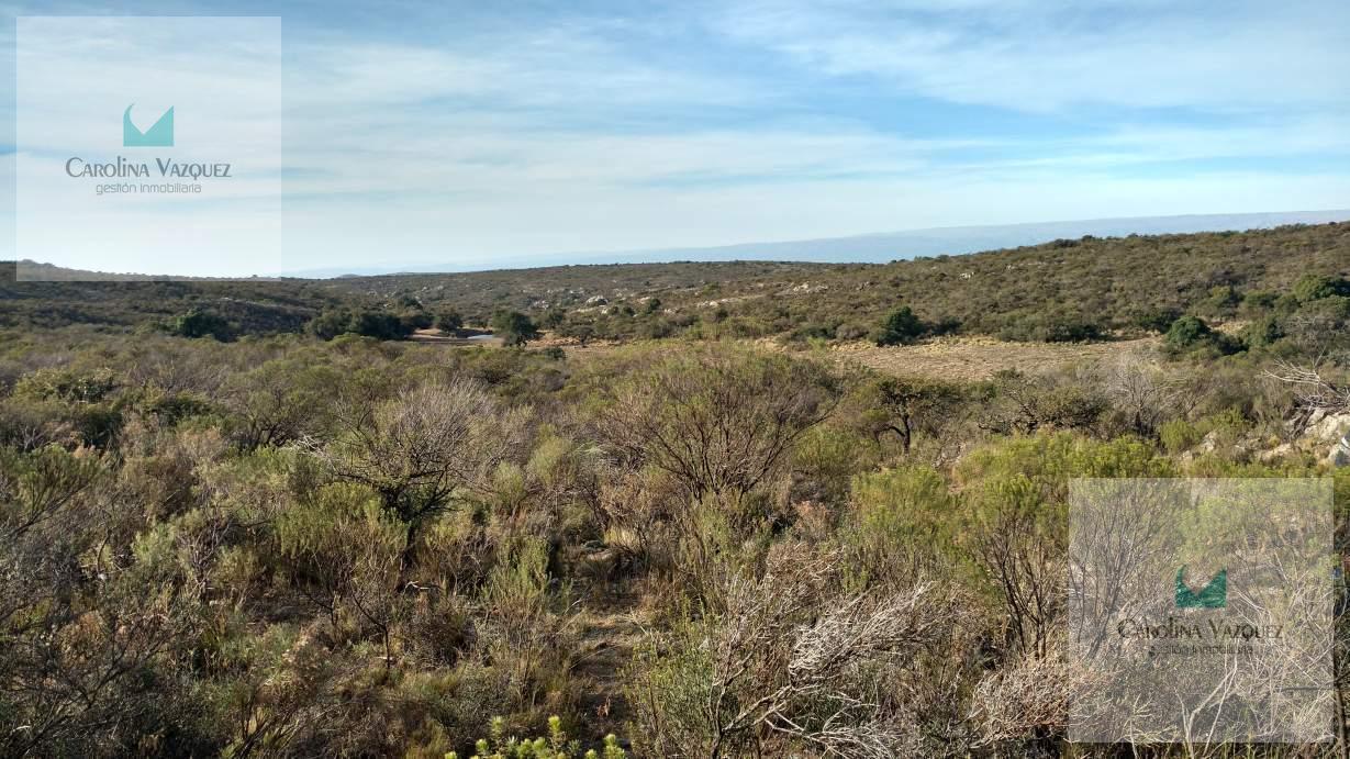 Foto de Venta Campo Pampa de Pocho Panaholma Cordoba, imagen 3