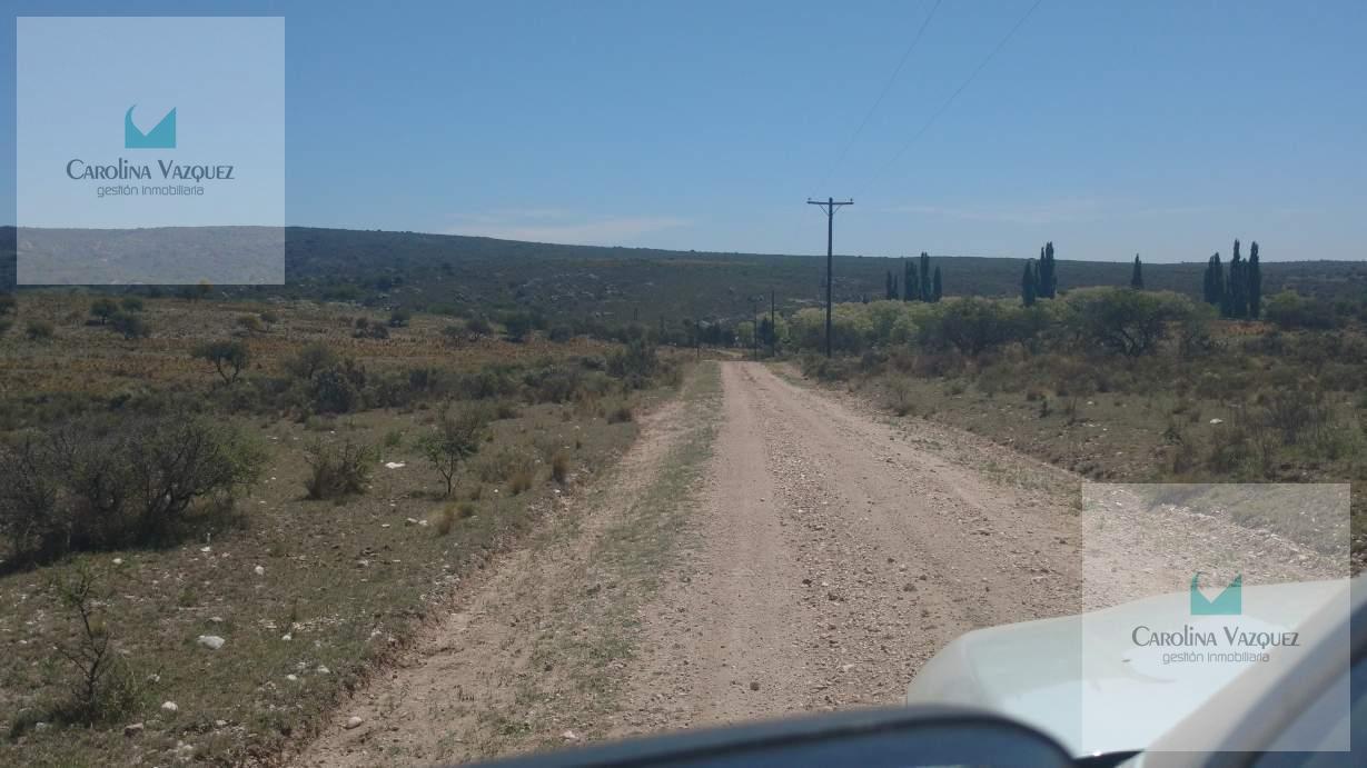 Foto de Venta Campo Pampa de Pocho Panaholma Cordoba, imagen 2