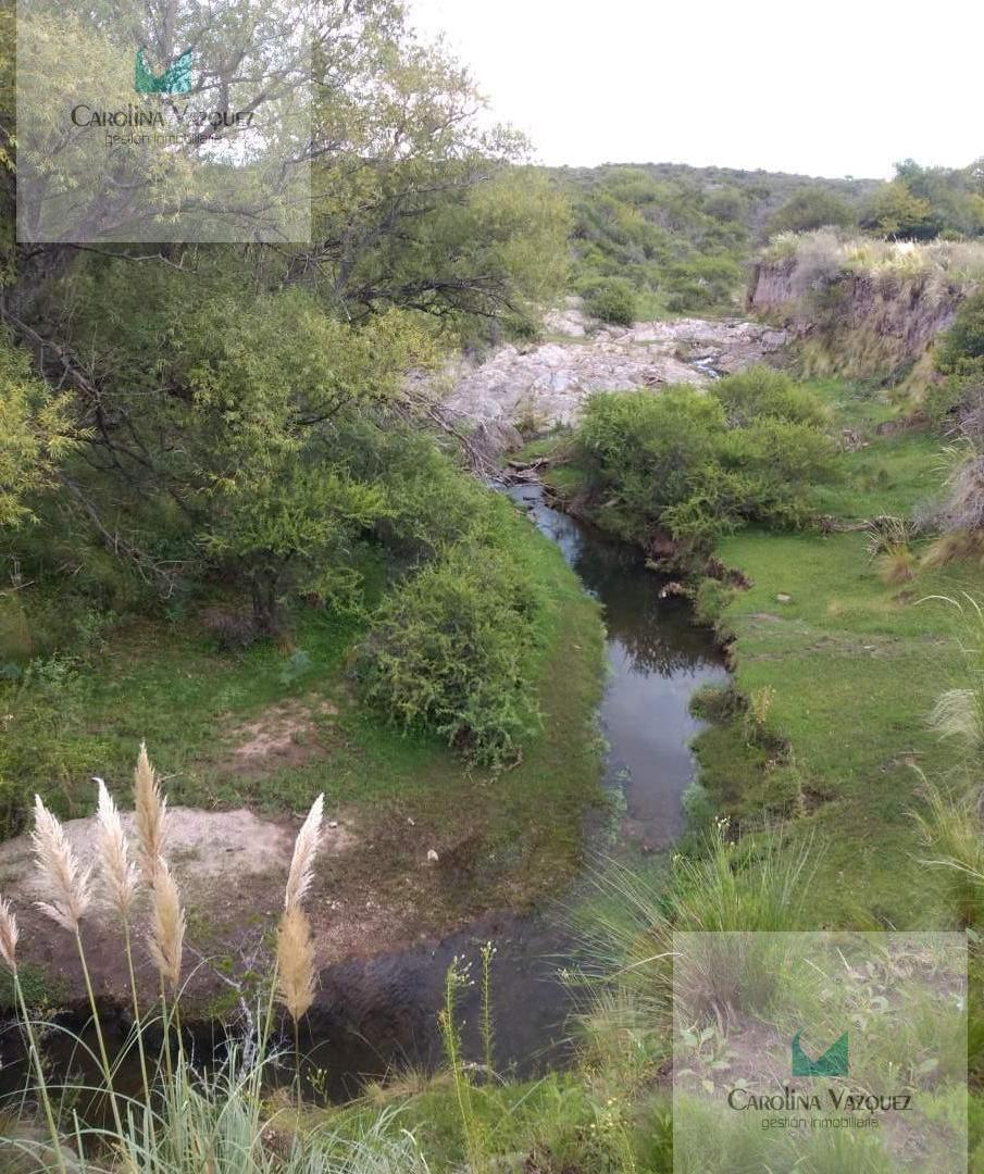 Foto de Venta Campo Pampa de Pocho Panaholma Cordoba, imagen 5