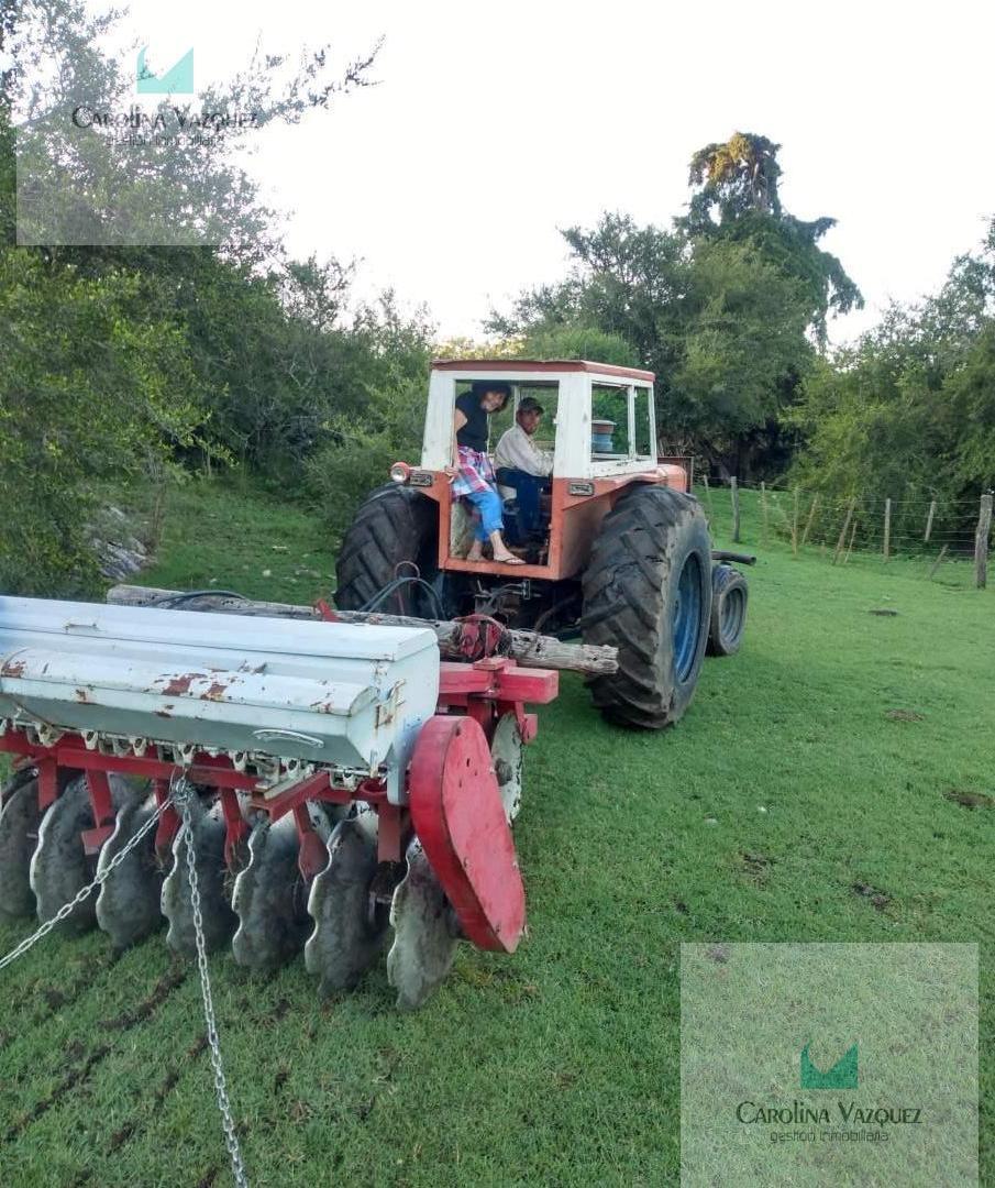 Foto de Venta Campo Pampa de Pocho Panaholma Cordoba, imagen 4