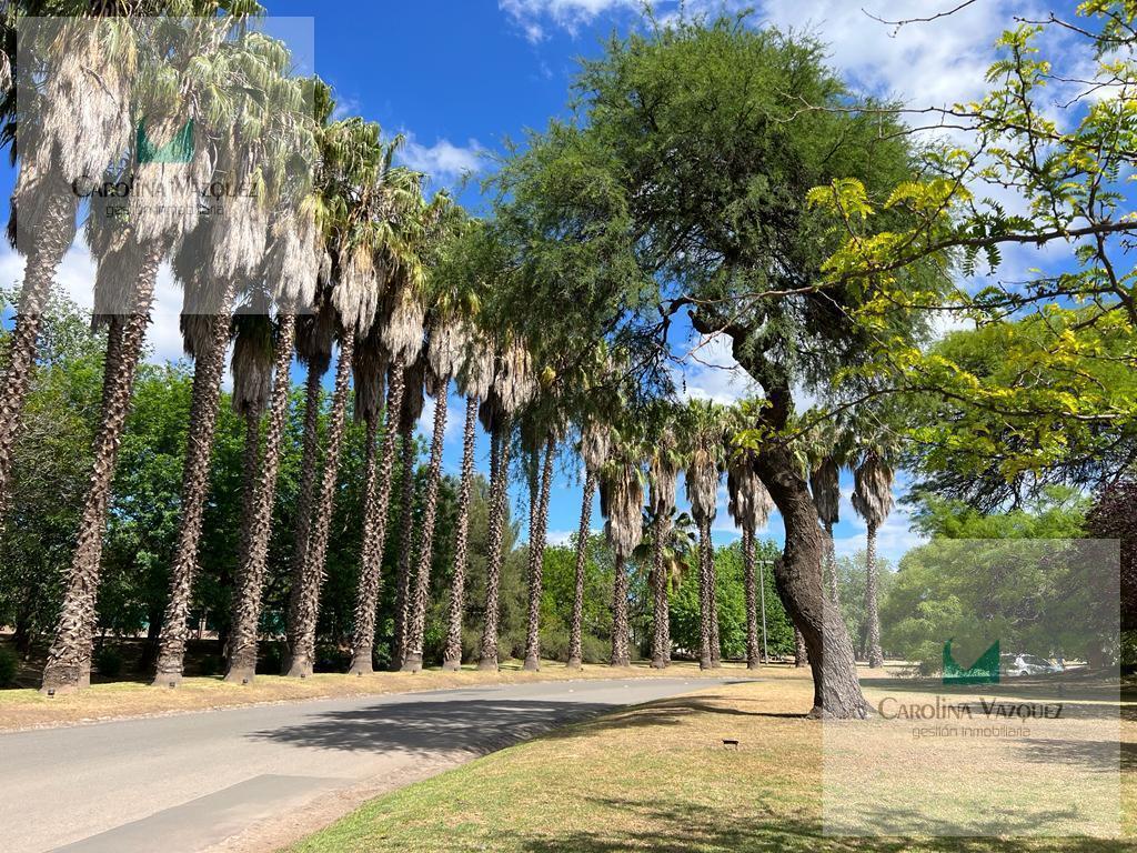 Foto de TERRENO EN VENTA ESTANCIA Q2, imagen 1