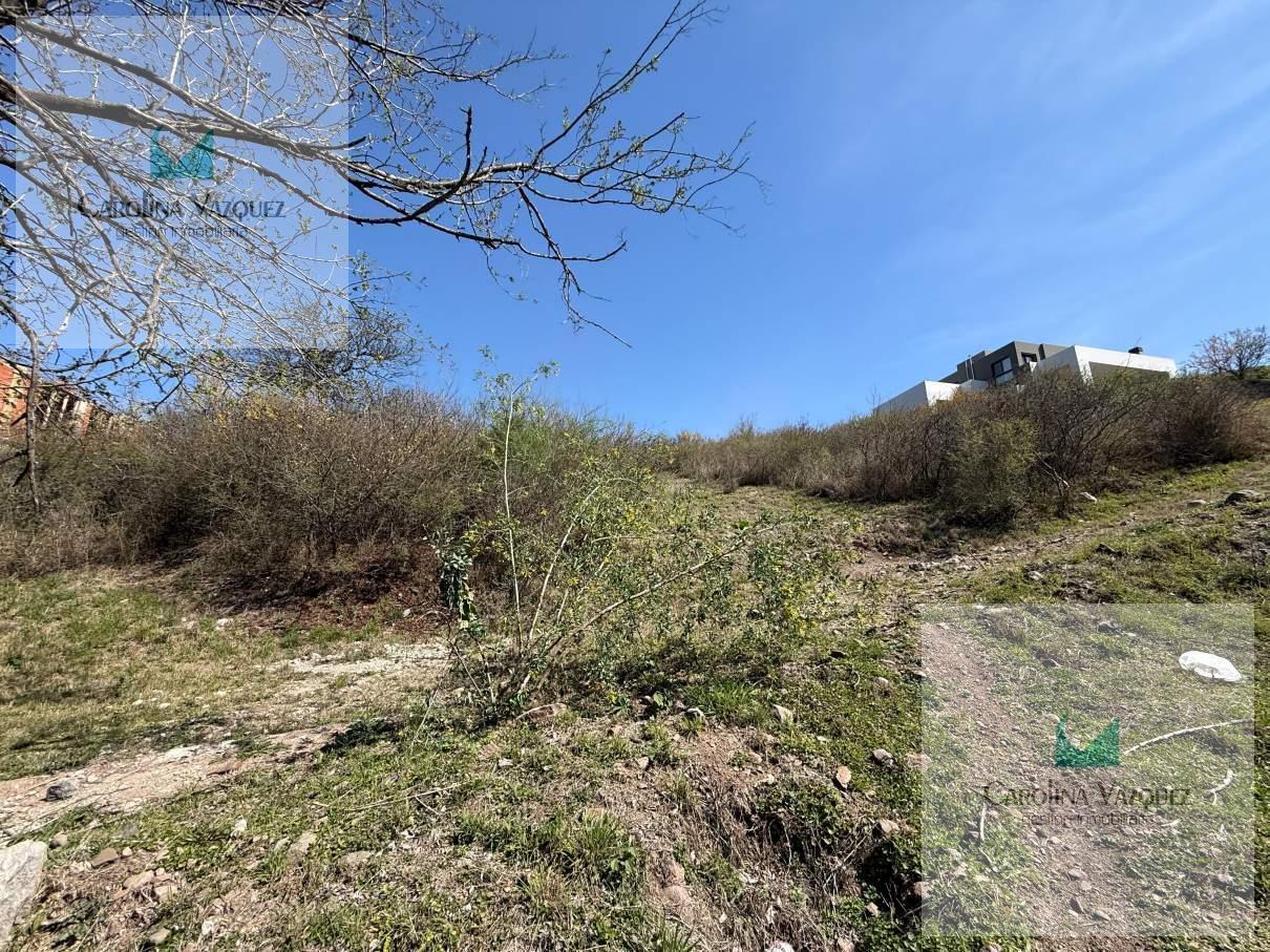Foto de TERRENO EN VENTA ESTANCIA Q2, imagen 2