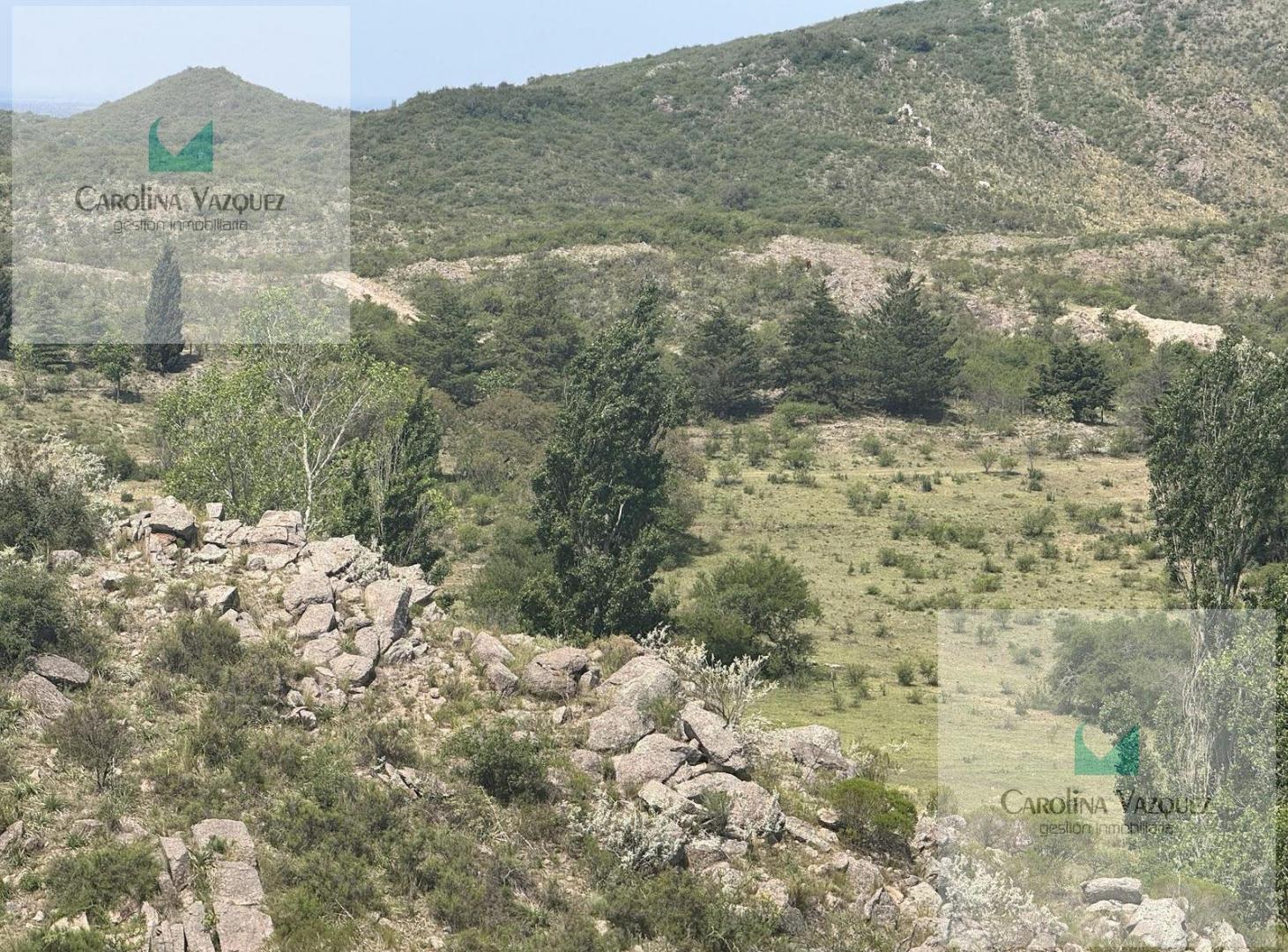 Foto de Venta Campo Ongamira Cordoba, imagen 3