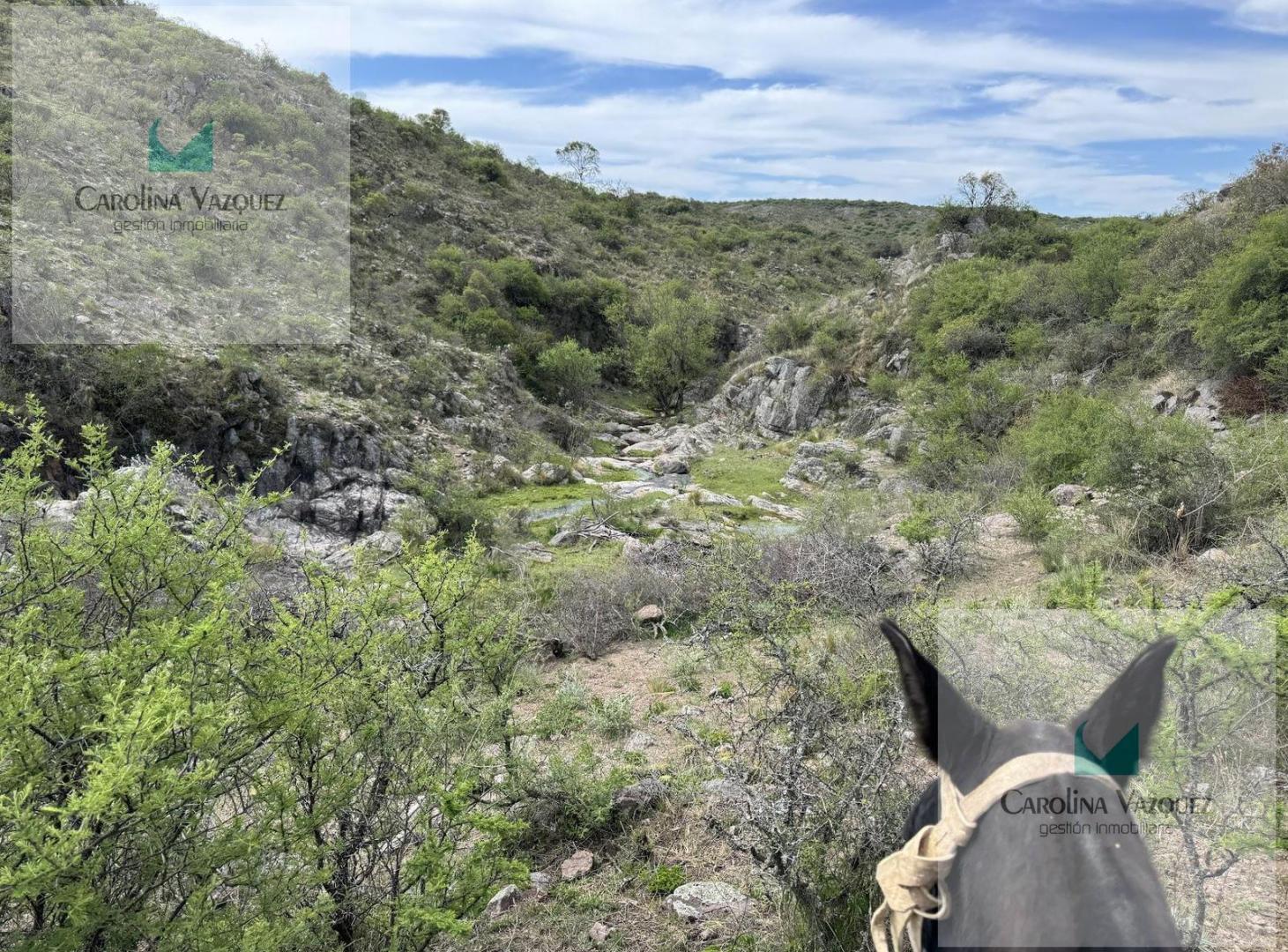 Foto de Venta Campo Ongamira Cordoba, imagen 5