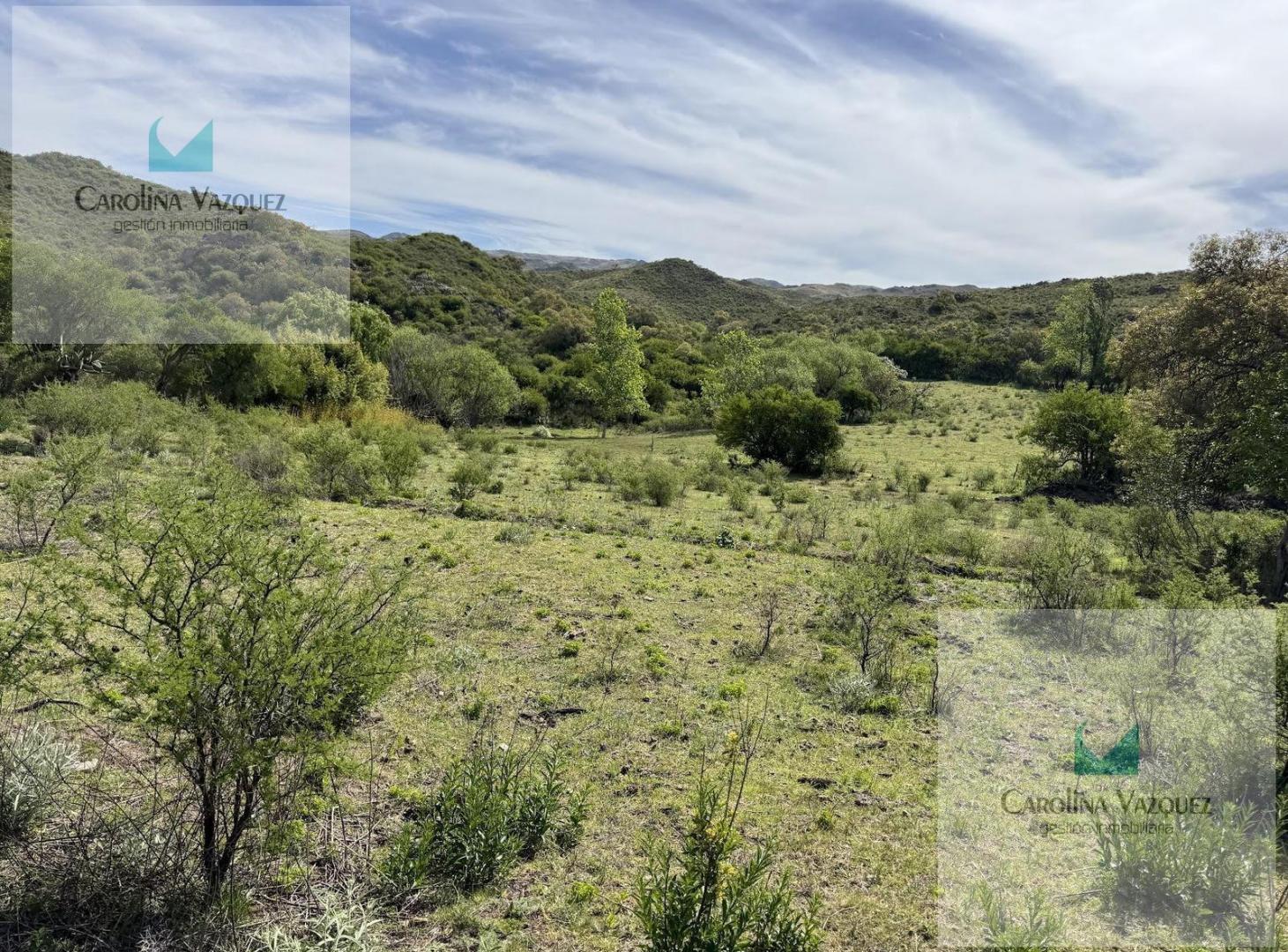 Foto de Venta Campo Ongamira Cordoba, imagen 4