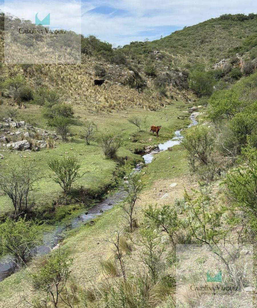 Foto de Venta Campo Ongamira Cordoba, imagen 2