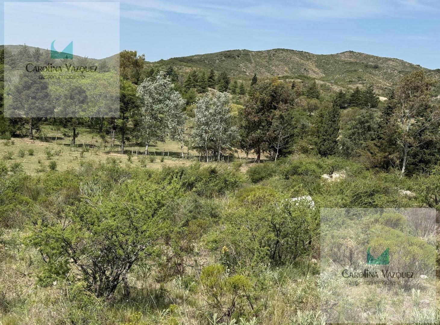 Foto de Venta Campo Ongamira Cordoba, imagen 1