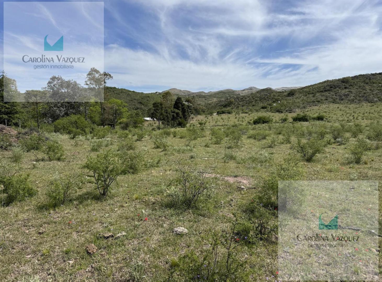 Foto de Venta Campo Ongamira Cordoba, imagen 3