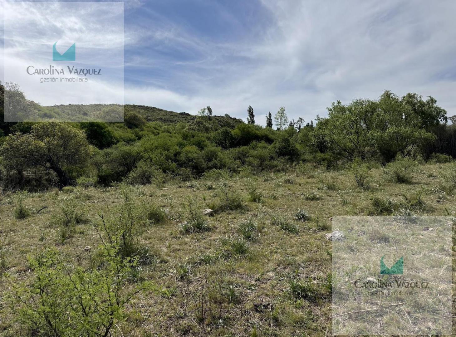 Foto de Venta Campo Ongamira Cordoba, imagen 5