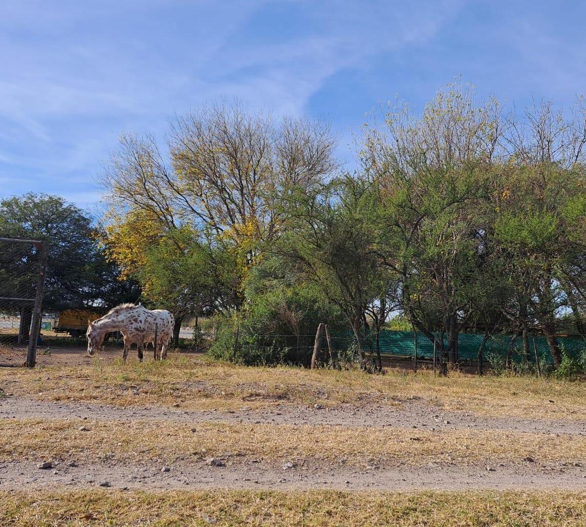 Foto de TERRENO EN VENTA EL TALAR MENDIOLAZA, imagen 1