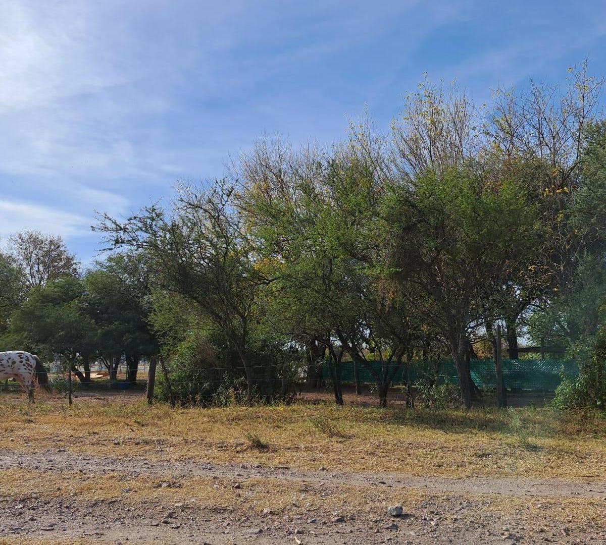 Foto de TERRENO EN VENTA EL TALAR MENDIOLAZA, imagen 2