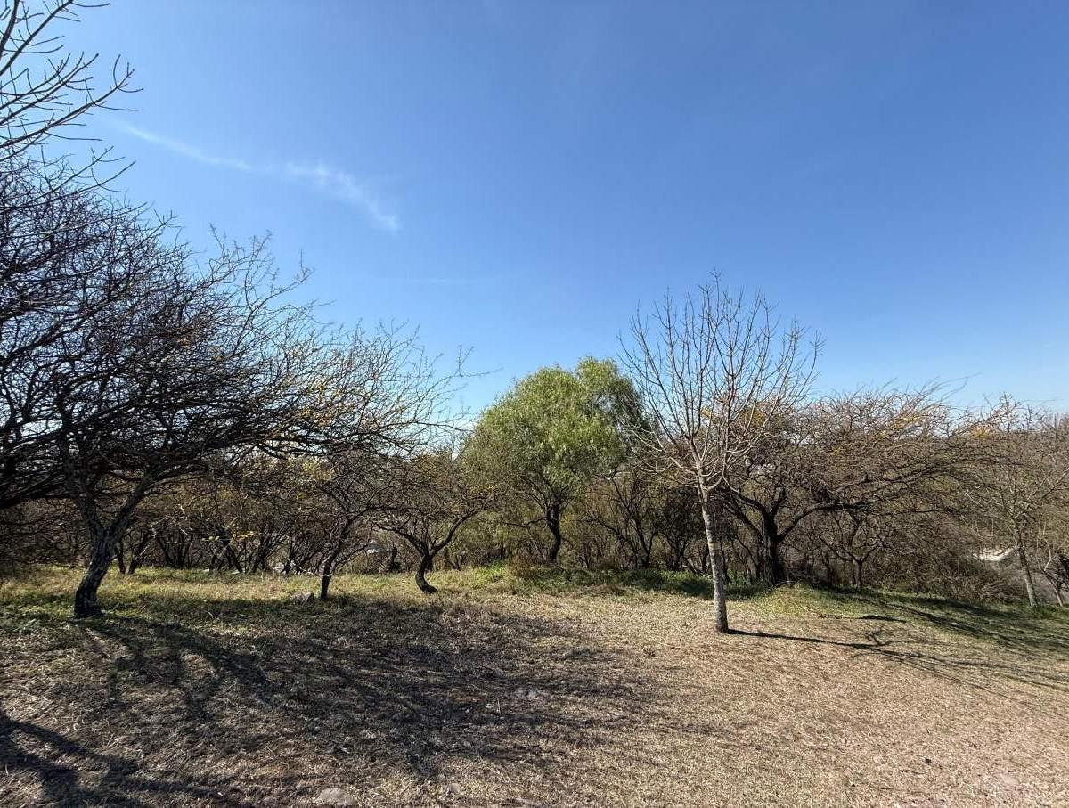 Foto de VENTA Terreno - ESTANCIA Q2, MENDIOLAZA, imagen 1