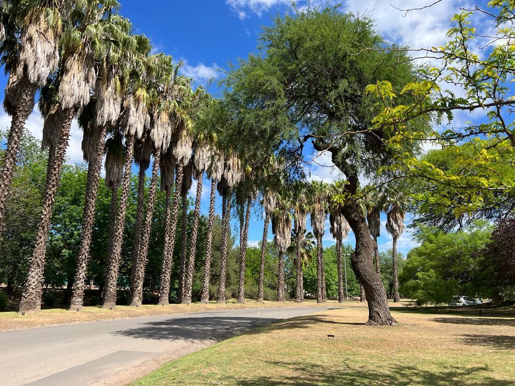 Foto de TERRENO EN VENTA ESTANCIA Q2, imagen 2