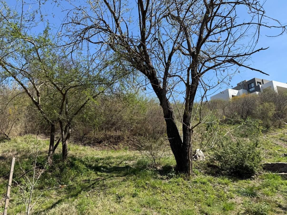 Foto de TERRENO EN VENTA ESTANCIA Q2, imagen 3