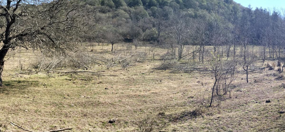 Foto de TERRENO EN VENTA UNQUILLO, imagen 3