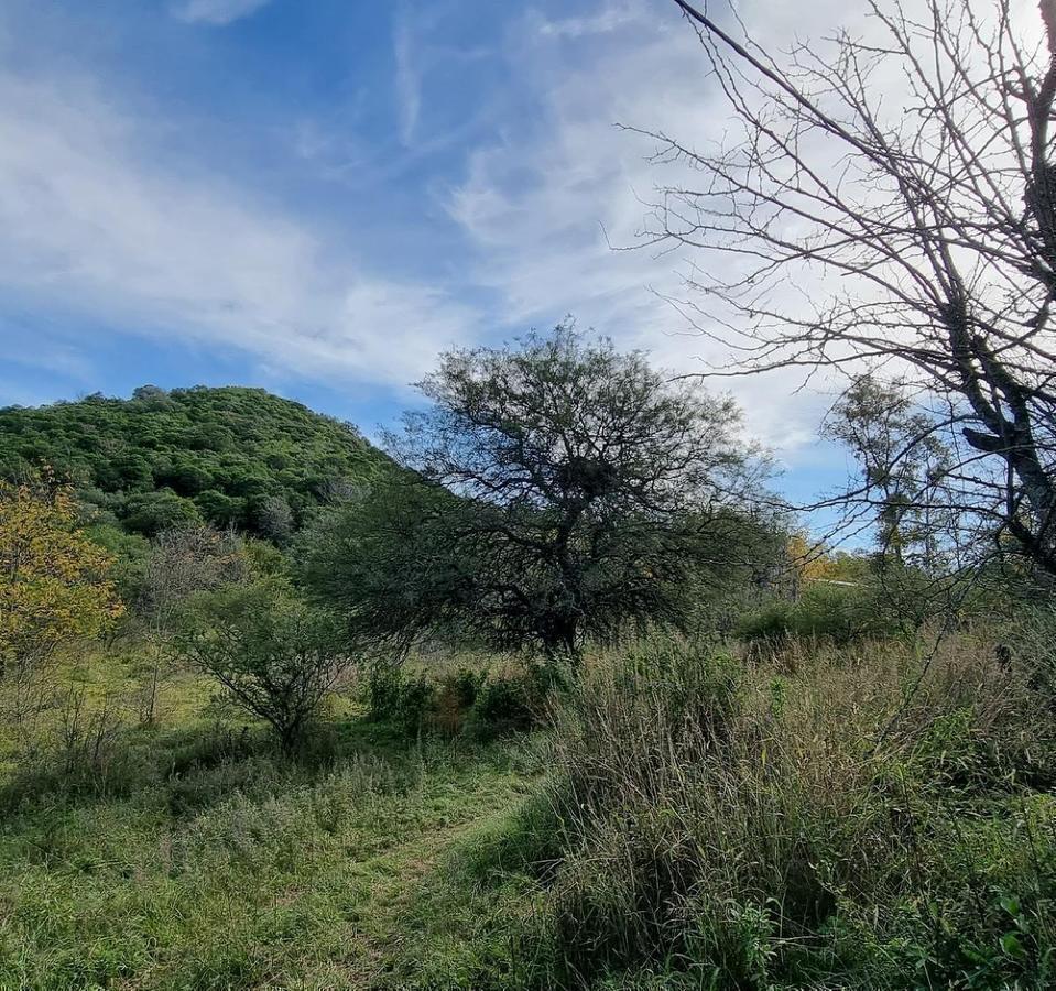 Foto de TERRENO EN VENTA UNQUILLO, imagen 4