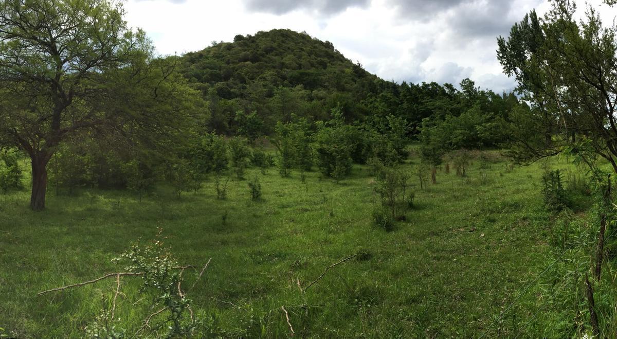 Foto de TERRENO EN VENTA UNQUILLO, imagen 1