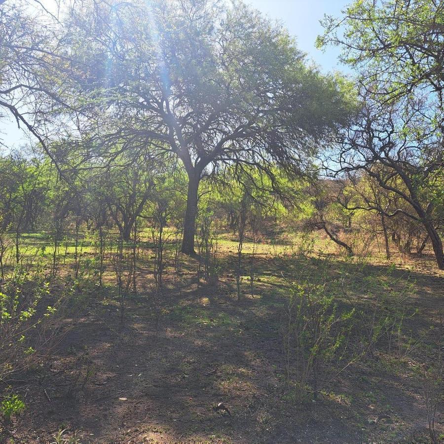 Foto de VENTA TERRENO LA EULOGIA UNQUILLO, imagen 5