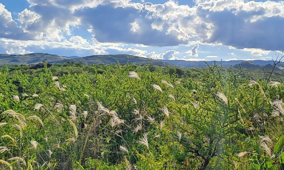 Foto de VENTA TERRENO - SAN JOSE DE LAS SIERRAS, ASCOCHINGA, imagen 3