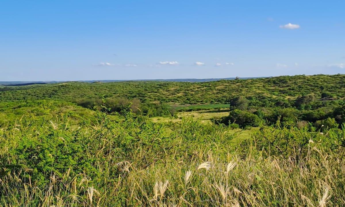 Foto de VENTA TERRENO - SAN JOSE DE LAS SIERRAS, ASCOCHINGA, imagen 2