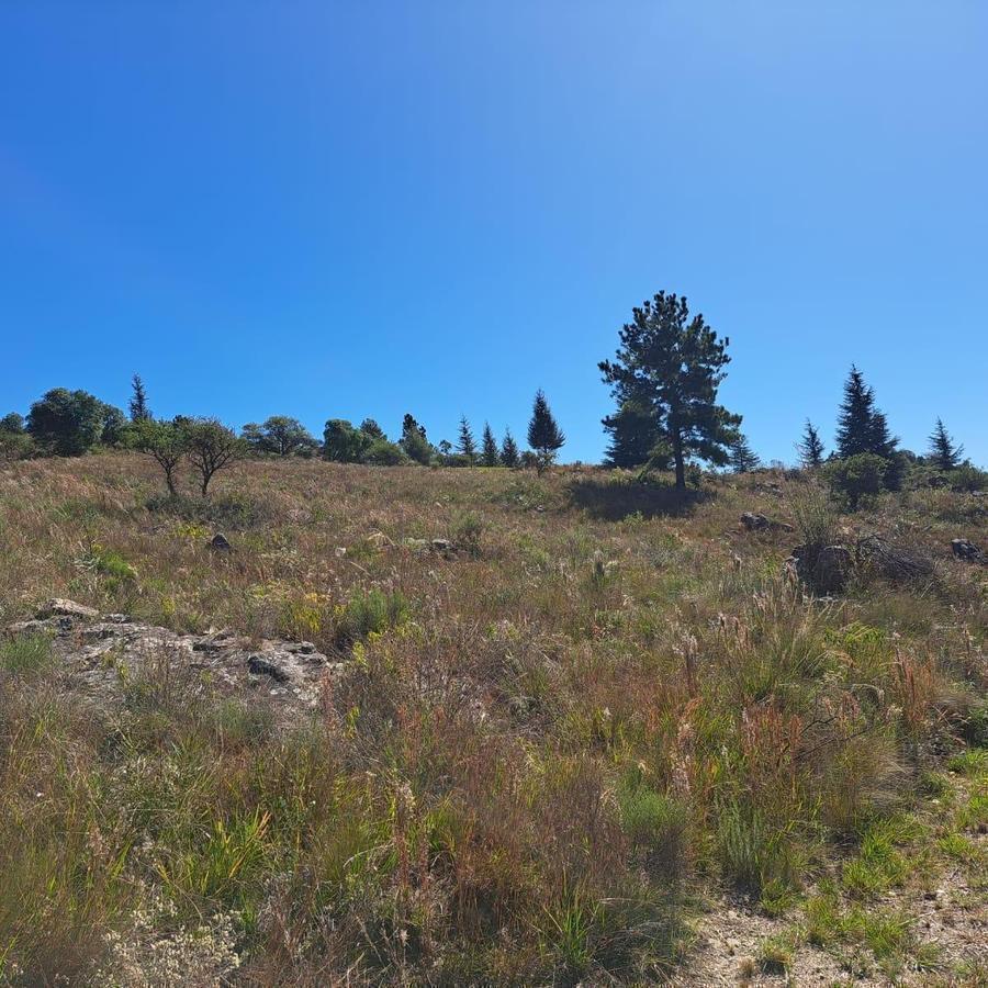 Foto de TERRENO EN VENTA YACANTO EL DURAZNO, imagen 4