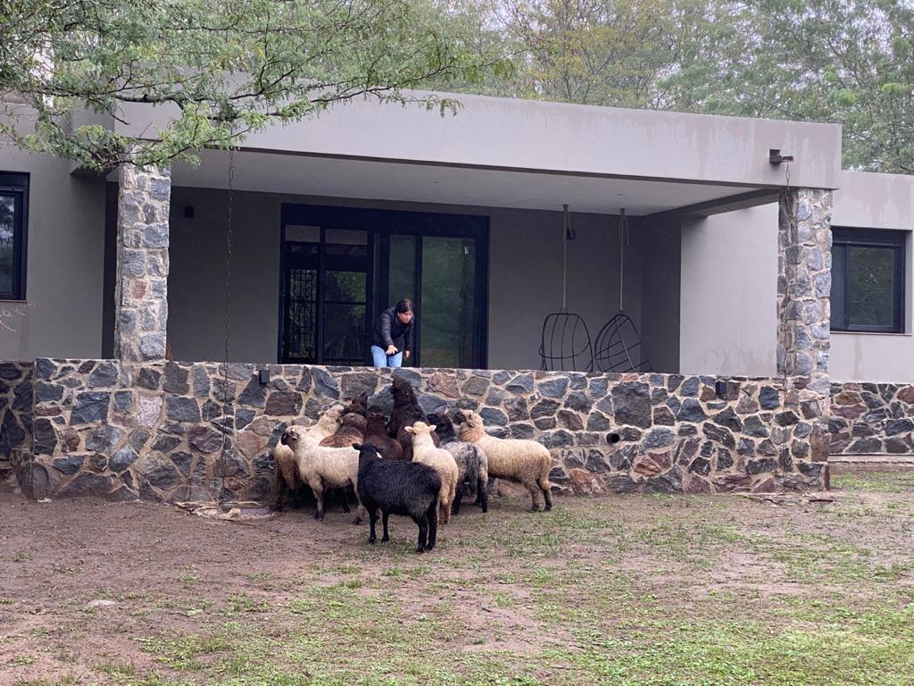 Foto de TERRENO EN VENTA LA ESCONDIDA SANTA CATALINA, imagen 4