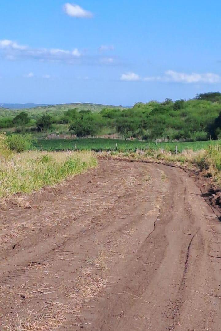 Foto de VENTA TERRENO - ASCOCHINGA, SAN JOSE DE LA SIERRA, imagen 4