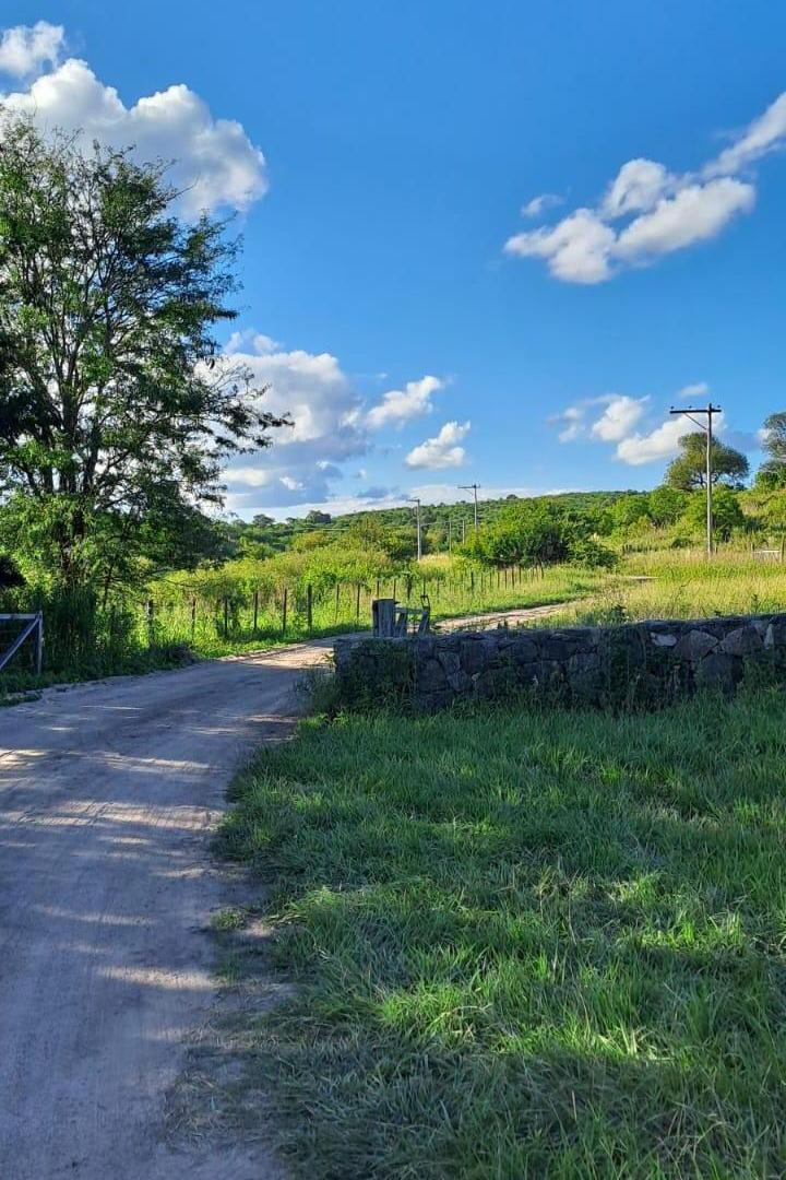 Foto de VENTA TERRENO - ASCOCHINGA, SAN JOSE DE LA SIERRA, imagen 3
