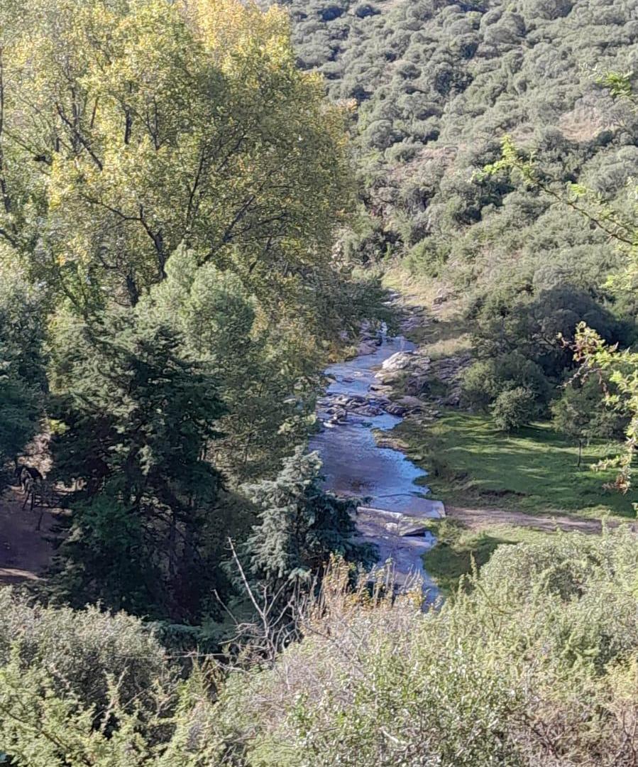 Foto de Venta Campo Totoral Villa Albertina Los Sauces, imagen 4