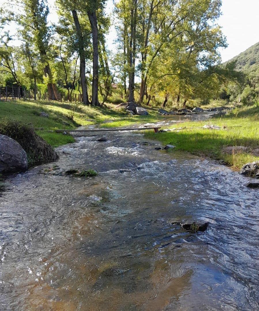 Foto de Venta Campo Totoral Villa Albertina Los Sauces, imagen 1