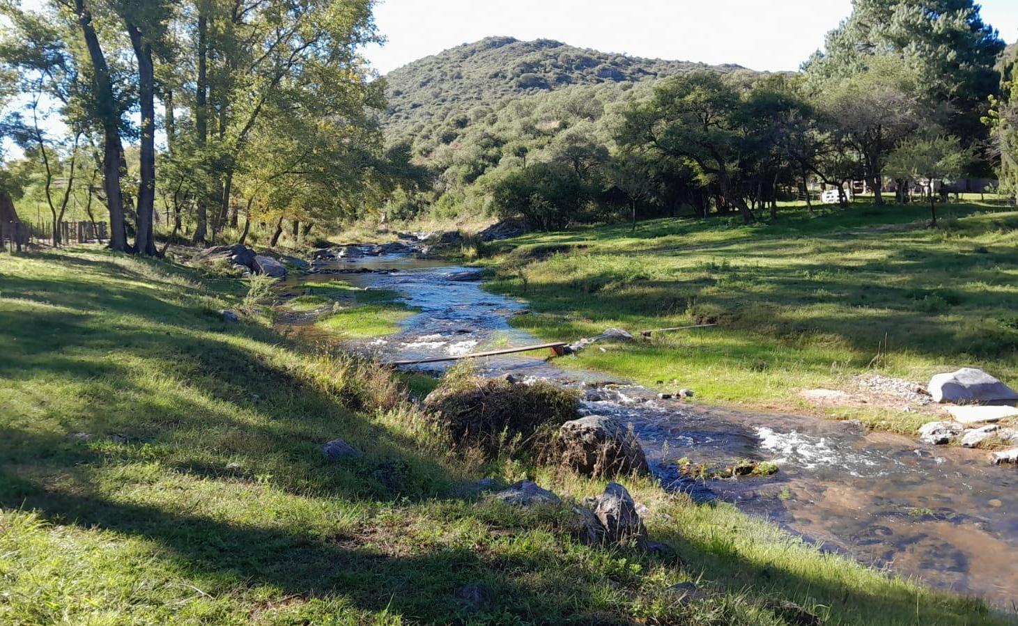 Foto de Venta Campo Totoral Villa Albertina Los Sauces, imagen 2