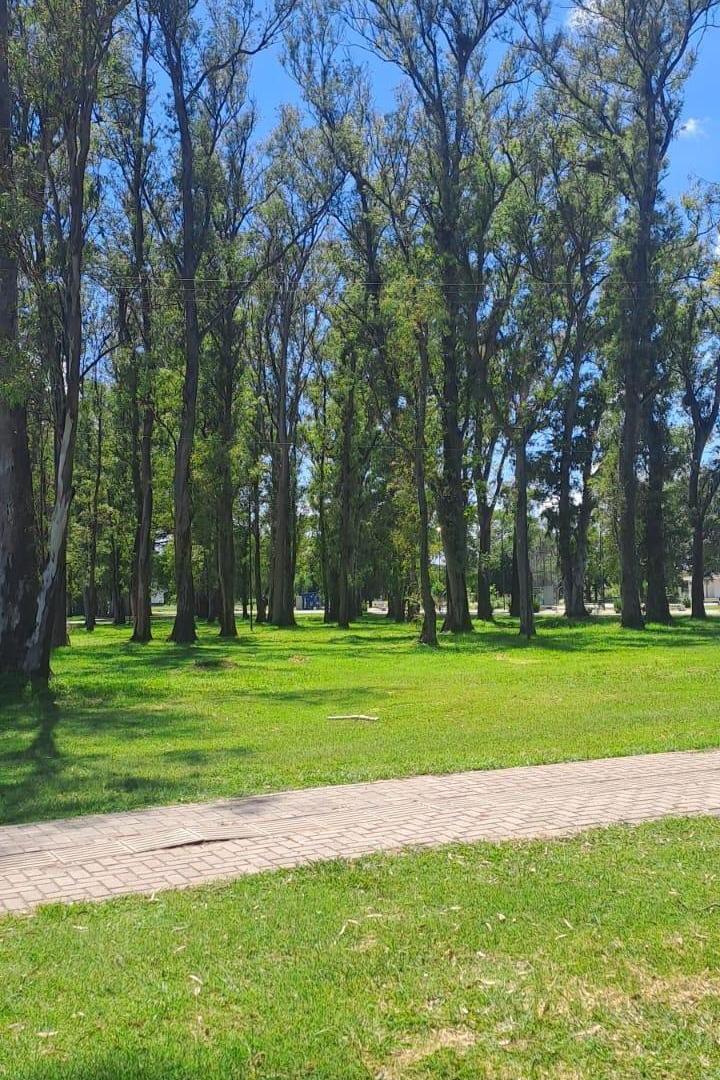 Foto de Venta terreno Comercial esquina en Villa María de 723 m2, imagen 5
