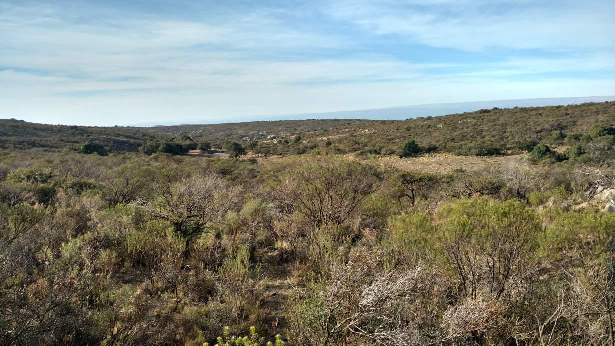 Foto de Venta Campo - Pampa de Pocho, Panaholma Córdoba, imagen 4