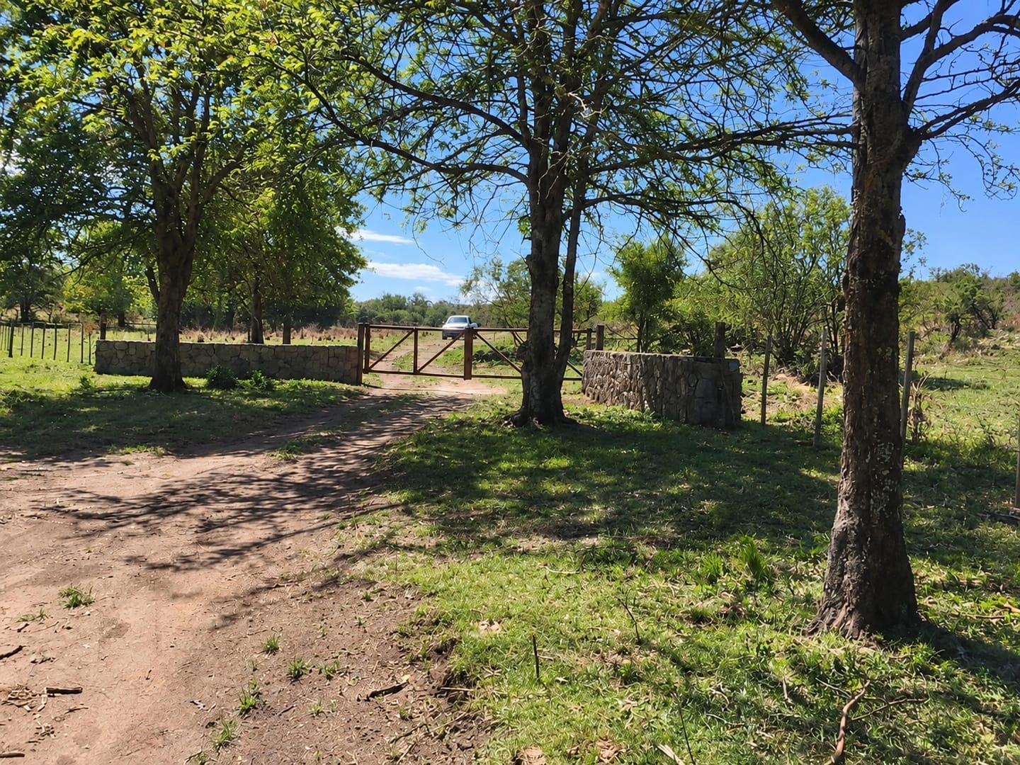 Foto de VENTA TERRENO - ASCOCHINGA, CORDOBA, imagen 1