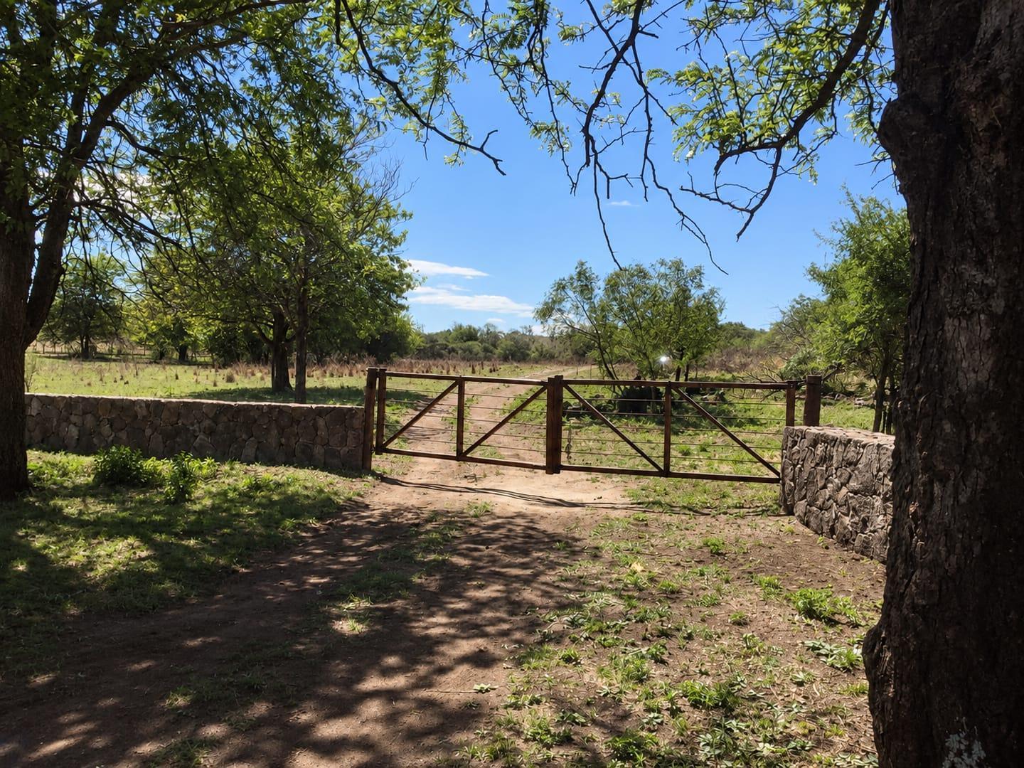 Foto de VENTA TERRENO - ASCOCHINGA, CORDOBA, imagen 2
