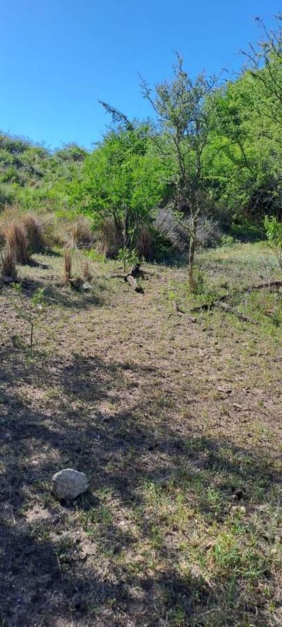 Foto de TERRENOP EN VENTA ASCOCHINGA LA PAMPA CORDOBA, imagen 4