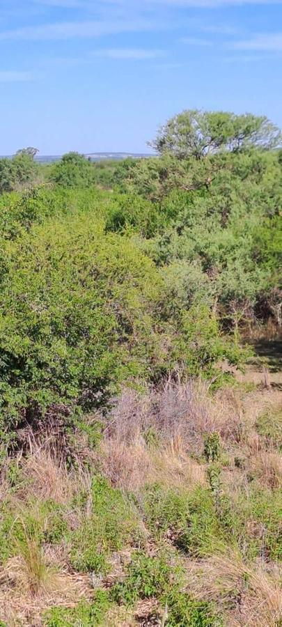 Foto de TERRENOP EN VENTA ASCOCHINGA LA PAMPA CORDOBA, imagen 1